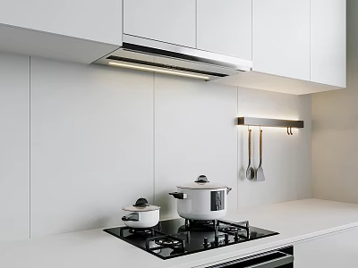 Modern Kitchen With Sleek Stove Range Hood And Essential Appliances 3d model