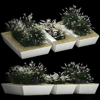 Shrub and feather grass 3d model