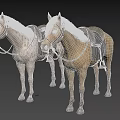 Two Saddled Horses With Different Coat Colors Standing On Gray Background