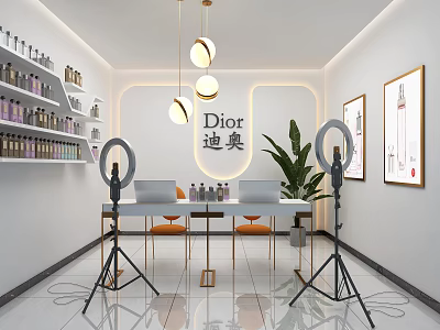 Public Office Space Featuring Dior Logo Ring Lights Shelves Bottles Green Plant and Decorative Paintings 3d model