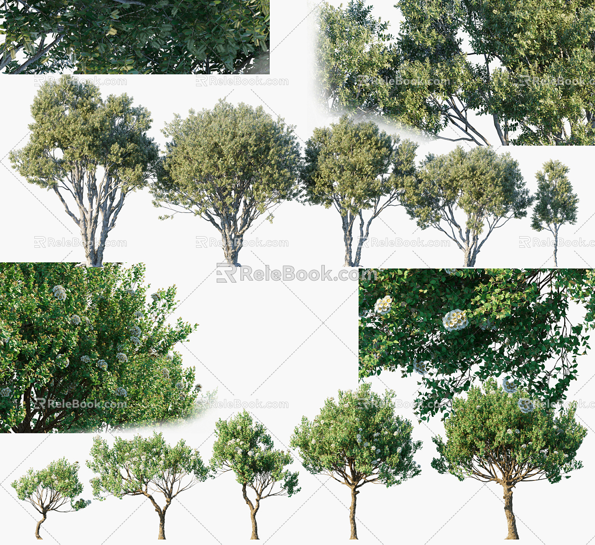 Modern Tree Landscape Tree 3d model