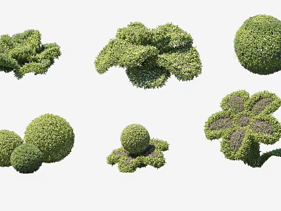 Decorative Trimmed Bushes in Various Shapes Like Spheres and Flowers for Garden Landscaping Design 3d model