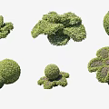 Decorative Trimmed Bushes in Various Shapes Like Spheres and Flowers for Garden Landscaping Design
