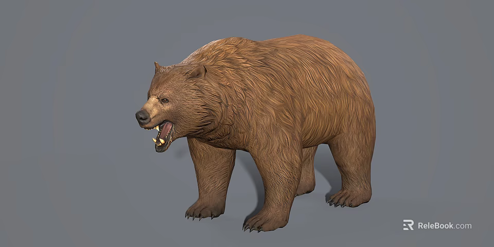 Realistic Brown Bear With Open Mouth Standing In 3D Rendered Pose 3d model