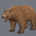 Modern Bear Forest Bear 3d model