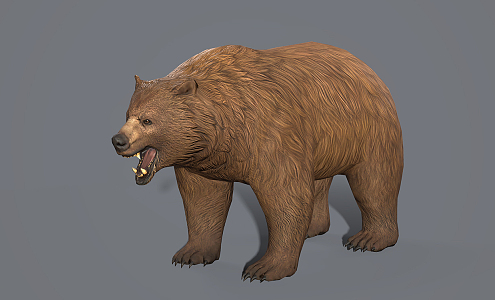 Modern Bear Forest Bear 3d model