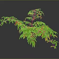 3D Rendered Lush Green Plant With Yellow Red Edges Slender Stems Grey Background Reflection