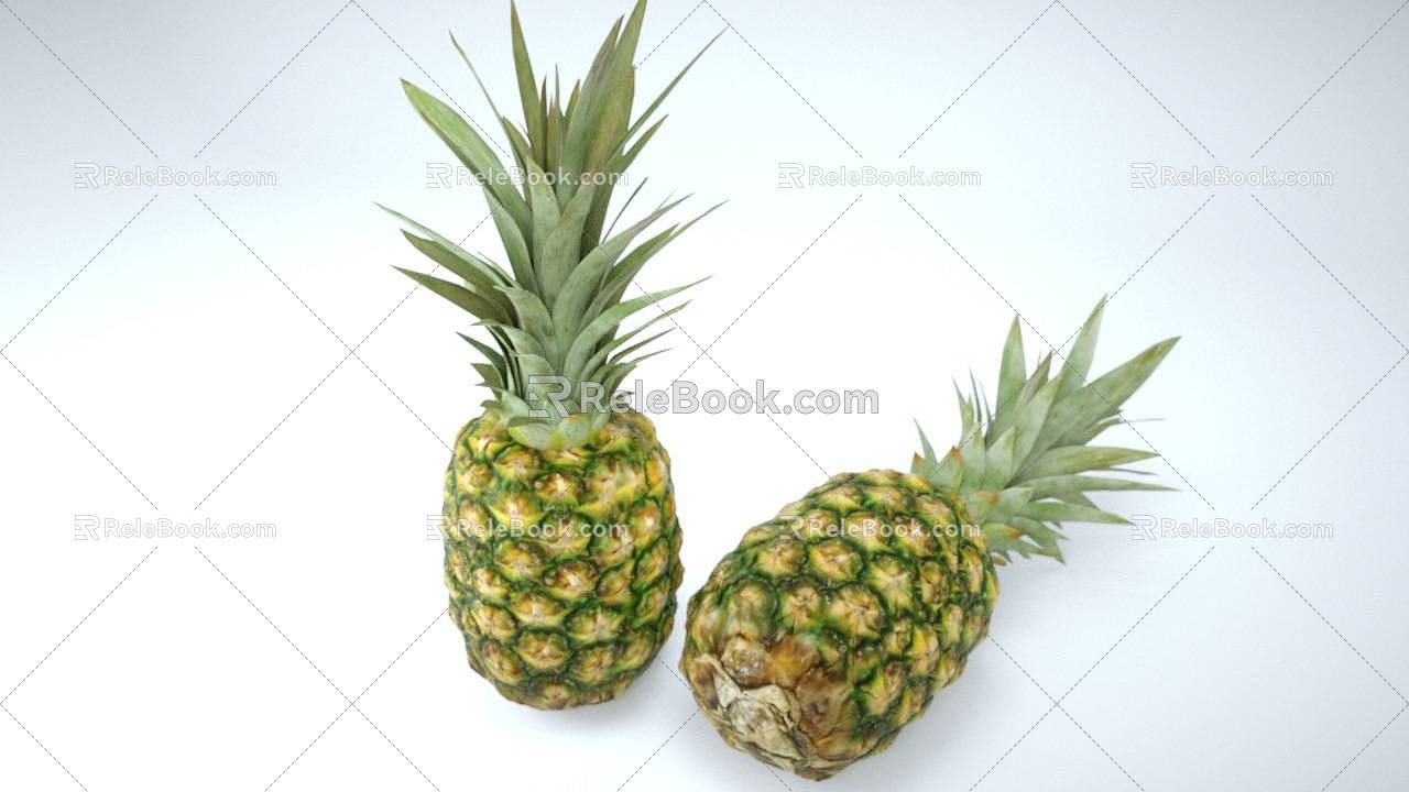 Modern Pineapple 3d model