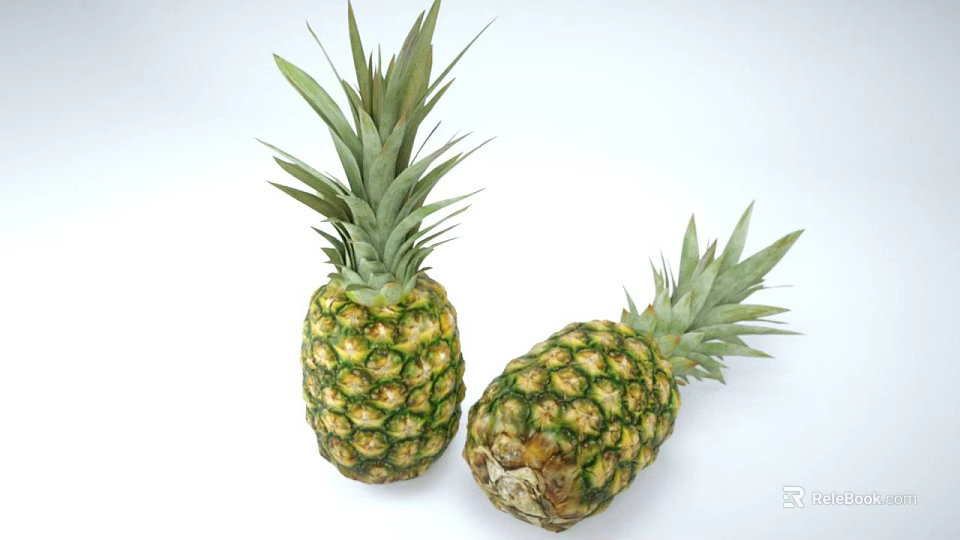 Juicy Fresh Ripe Pineapples With Green Leaves On White Surface 3d model 