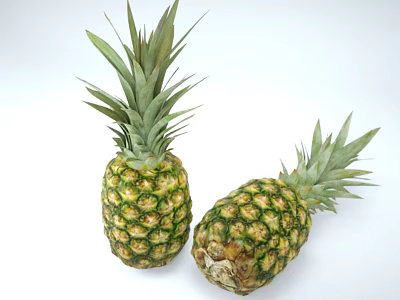 Juicy Fresh Ripe Pineapples With Green Leaves On White Surface 3d model