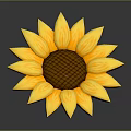 Bright Yellow Sunflower With Brown Center Yellow Petals And Reflection On Grey Background