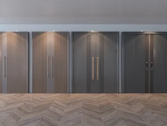 Modern double door combination metal door 3d model