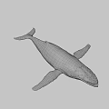 Realistic Blue White Whale with Textured Skin in Gradient Background