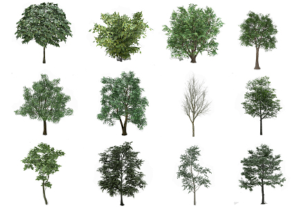 The Modern Tree 3d model