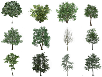 The Modern Tree 3d model