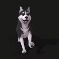 Black And White Husky Dog Running In 3D Model Rendering