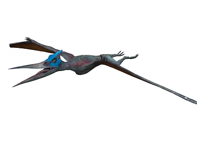 Prehistoric Pterosaur Flying With Large Wings Long Beak And Blue Head 3d model