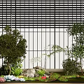 Modern Plant Combination With Various Trees Shrubs Rocks Green Grass And Window Blinds