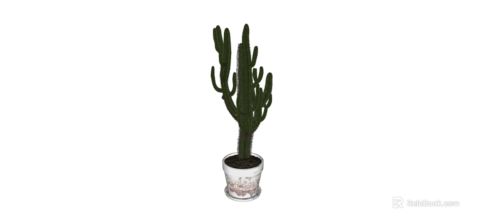 Green Cactus Potted Plant in White Textured Ceramic Pot for Indoor Decor 3d model 