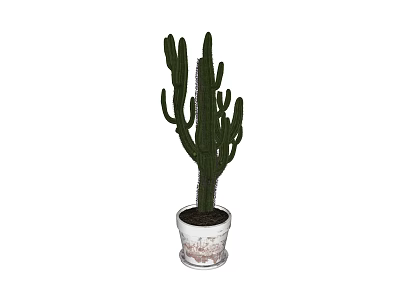 Green Cactus Potted Plant in White Textured Ceramic Pot for Indoor Decor 3d model