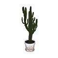 Green Cactus Potted Plant in White Textured Ceramic Pot for Indoor Decor