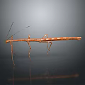 Stick Insect With Long Slender Brown Body Thin Legs On Dark Background And Surface Reflection 3d model