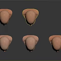 Male Bald Head 3D Models Displayed From Multiple Angles With Realistic Facial Features