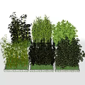 Different Types of Bamboo Plants with Lush Green Foliage Arranged in Stone Planters
