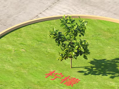 Efficient Commercial Equipment For Lemon Tree Cultivation On Lush Green Grassland Area 3d model