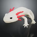 White Axolotl with Red Feathery External Gills on Black Background Showing Reflection 3d model