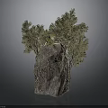 Wood and Stone Decorative Structure With Green Trees And Natural Texture Details