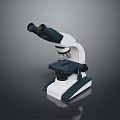 High Quality Binocular Microscope For Household Educational Use With Stable Base 3d model
