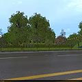 Road Facilities Featuring Yellow Lane Markings Green Belt Trees And Clear Asphalt Surface Along Roadside
