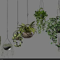 Hanging Plants in Woven and Wooden Baskets with Ferns Ivy for Indoor Greenery Decor
