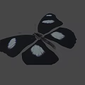 Black And White Spotted Butterfly Game Character Flying In Animated Scene