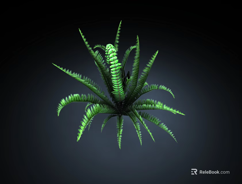 Green Fern Plant With Radiant Leaves And Slender Serrated Edges On Dark Background 3d model 