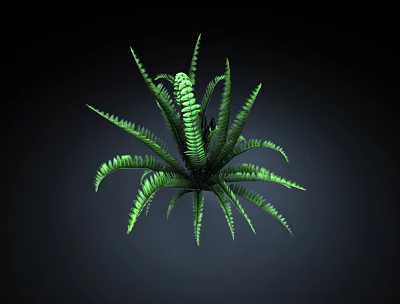 Green Fern Plant With Radiant Leaves And Slender Serrated Edges On Dark Background 3d model