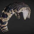 Crocodile With Open Mouth Sharp Teeth And Patterned Skin On Dark Background 3d model