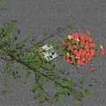 Fresh Strawberries In Ceramic Dish With Green Plants And Book On Gray Tabletop