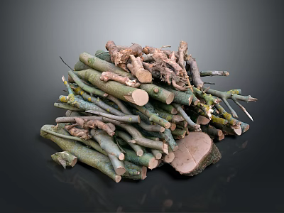 Tree Branches Roots And Stumps Pile With Various Thicknesses And Bark Pieces 3d model