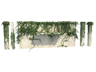 Dense Lush Green Vines Covering Concrete Wall And Decorative Columns Outdoors 3d model
