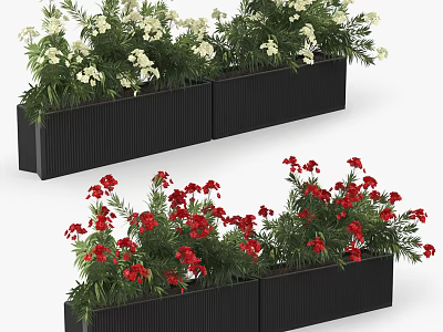 Modern Black Rectangular Garden Planters With White And Red Flowers 3d model