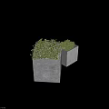 Lush Green Bonsai Potted Plants With Large And Small Concrete Planters