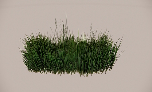 Modern Plant Crops 3d model