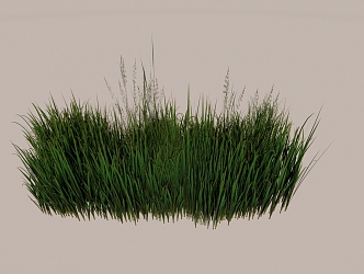 Modern Plant Crops 3d model