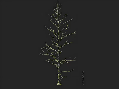 Elegant Arbor Tree Branch Structure with Intricate Line Design and Natural Silhouette 3d model