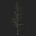Elegant Arbor Tree Branch Structure with Intricate Line Design and Natural Silhouette