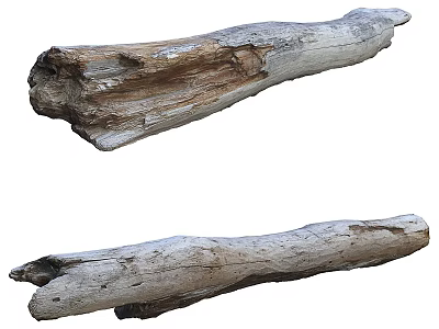 Natural Garden Decorations with Weathered Driftwood Logs for Outdoor Landscaping and Rustic Design 3d model