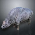 Realistic Gray Rhino 3D Render With Large Body And Detailed Skin Texture