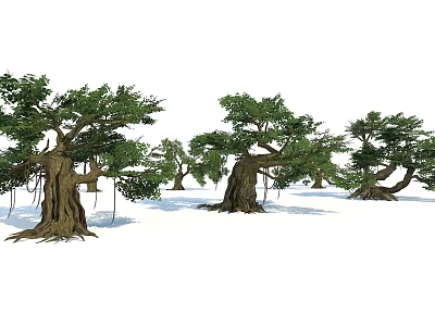 Lush Green Trees With Thick Trunks And Hanging Roots In Natural Scene 3d model